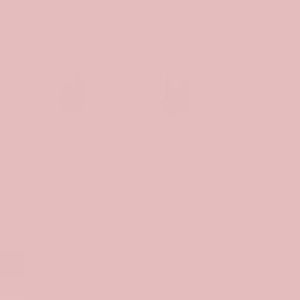 Meet your Posher, Jesse